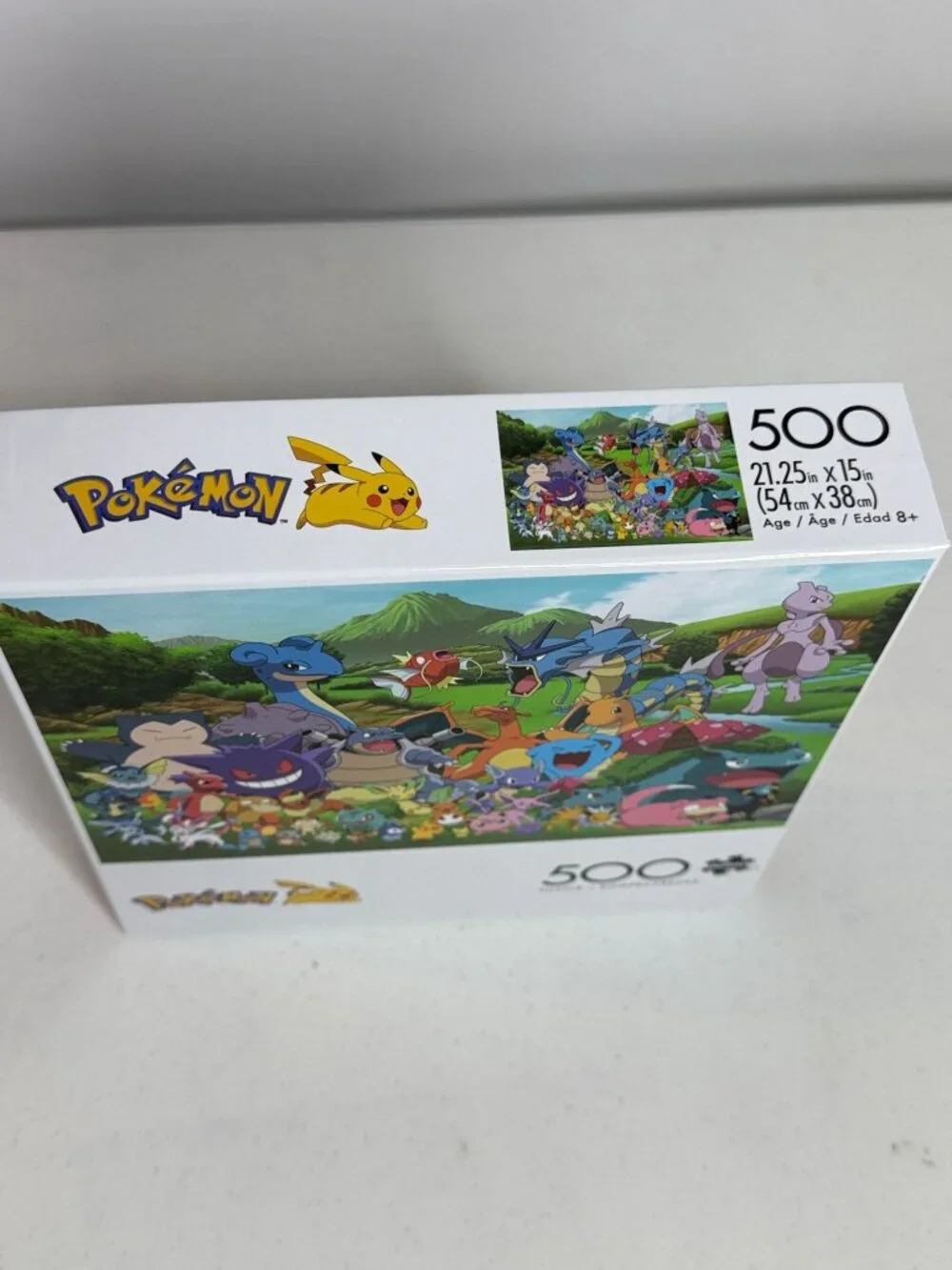 N/A pokemon 500